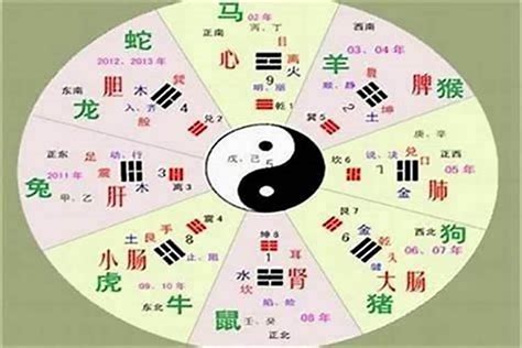 修 五行|修字的五行属什么